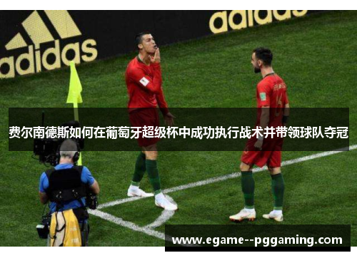 费尔南德斯如何在葡萄牙超级杯中成功执行战术并带领球队夺冠 费尔南德斯如何在葡萄牙超级杯中成功执行战术并带领球队夺冠
